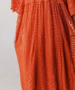 Vendor-unknown Dresses Reyna Sheer Embroidered Dress Ginger