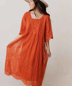 Vendor-unknown Dresses Reyna Sheer Embroidered Dress Ginger