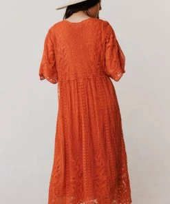 Vendor-unknown Dresses Reyna Sheer Embroidered Dress Ginger